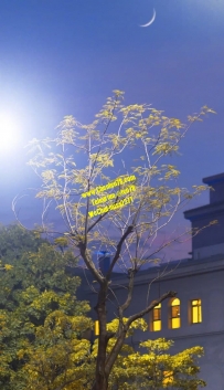 這個年頭做一個好的gto  真的很難