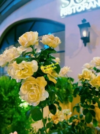 生活各自不易，個人所求不同，各自立場不一
