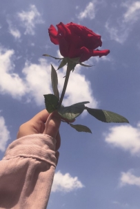 加入寶兒怎麼了 蛤    約個妹妹怎麼了 蛤 什麼？？