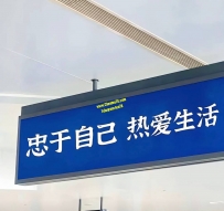 如果愛情不盡人意 那就鈔票頂天立地 要知道 沒有姑娘永...