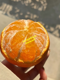 趁着陽光正好，你說多多關照，我說三生有幸