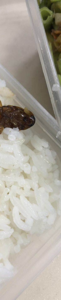 拜託~天氣我吃飯都沒有心情了 不要給我加餐好嘛