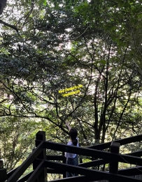 人生的旅途不在乎目的地 在乎的是沿途的風景和看風景的...
