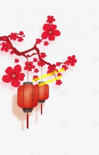 普通VIP/超級VIP/黃金VIP/磚石VIP  （8月底及下月中秋優惠）