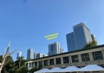 走著走著2023已經接近尾聲了，人生總有太多的來不及