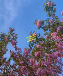 好好生活  慢慢遇見 ❤️ 祝你祝我祝我們